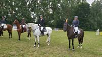 Gronau46
