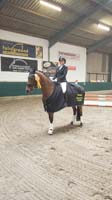 Lindhorst105