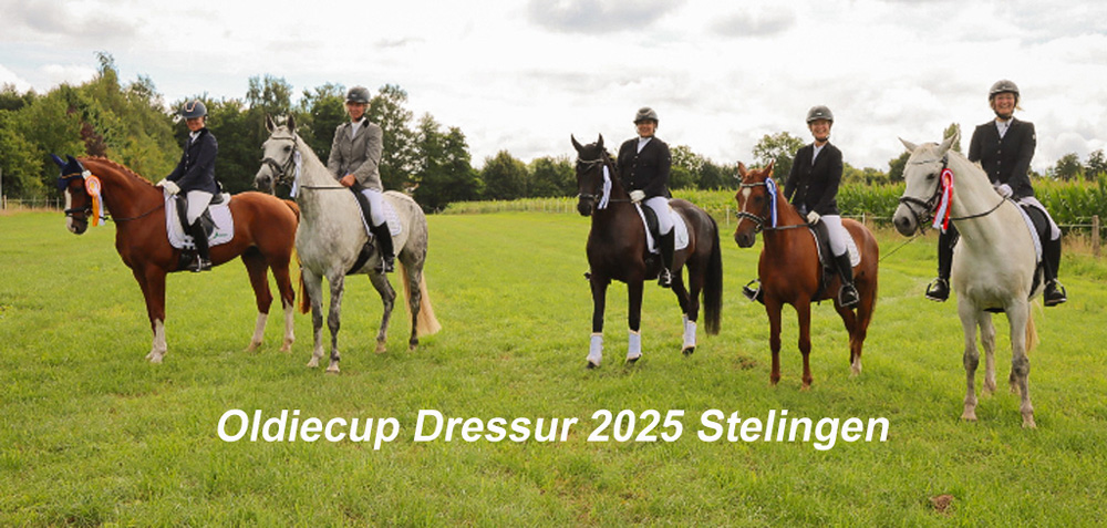 Stelingen_25_DR