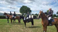 Stelingen_25_S5
